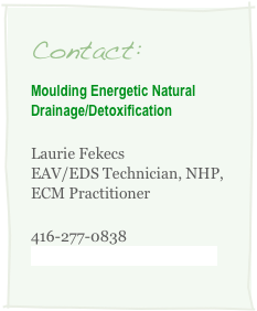Contact:
Moulding Energetic Natural Drainage/Detoxification
Laurie Fekecs EAV/EDS Technician, NHP, ECM Practitioner
416-277-0838 laurie@mendyourhealth.ca